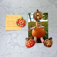 Fall Pattern Pumpkin Magnet Set - Home Decor